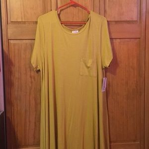 NWT LulaRoe Carly